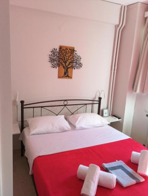 Charming Studio in the Heart of the City